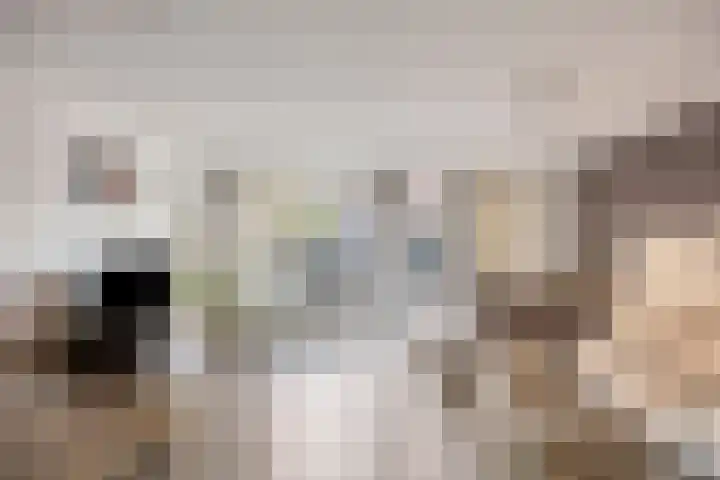 Wim Kanplein 13 Den Haag thumbnail 7