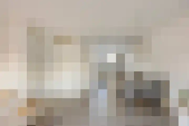 Wim Kanplein 13 Den Haag thumbnail 8