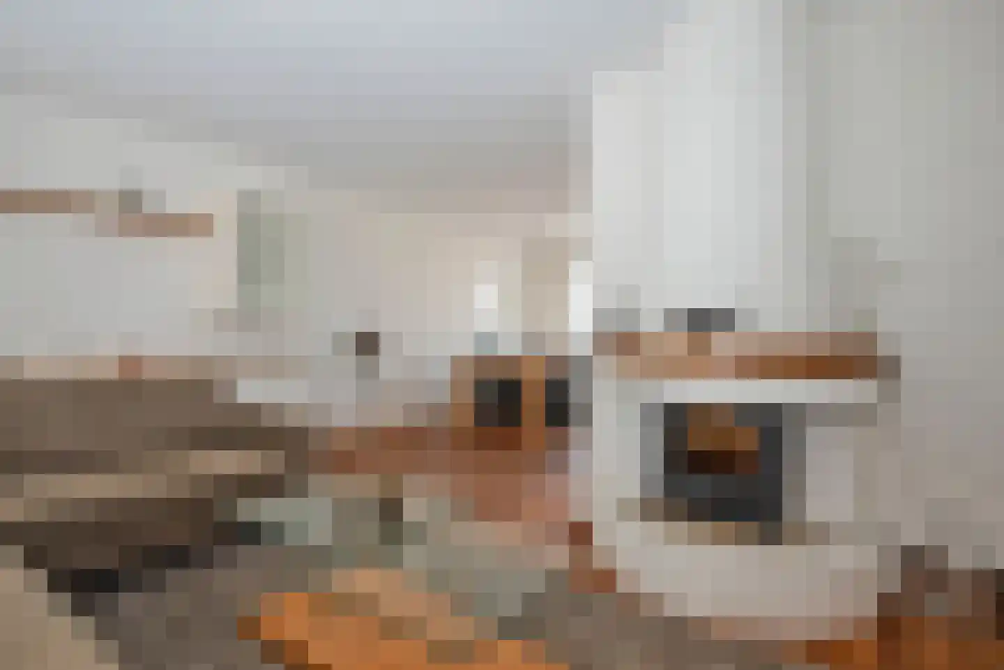 Wim Kanstraat 36 Hengelo thumbnail 11