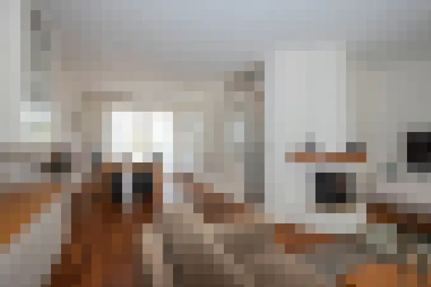 Wim Kanstraat 36 Hengelo thumbnail 13