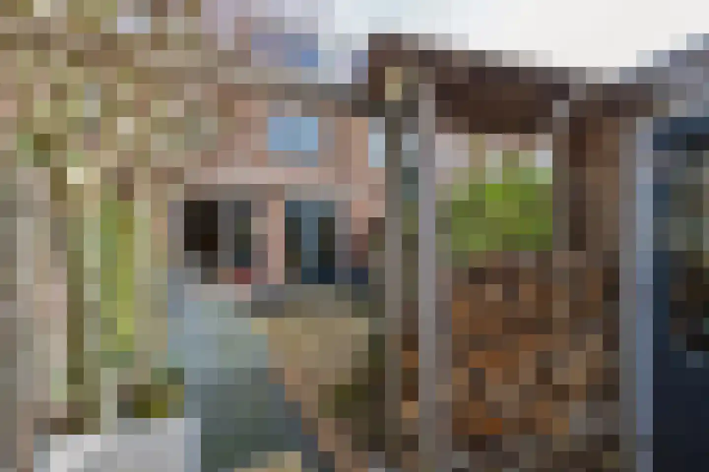 Wim Kanstraat 5 Den Haag thumbnail 15