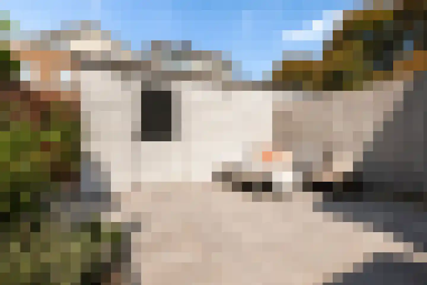 Wim Lagendaalpad 3 Rotterdam thumbnail 6