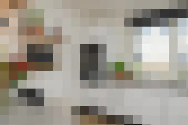 Wim Lagendaalpad 55 Rotterdam thumbnail 14