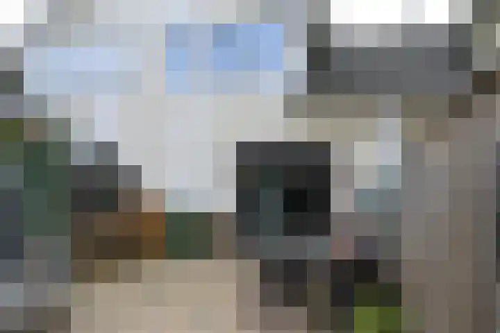 Wim Lagendaalpad 55 Rotterdam thumbnail 19