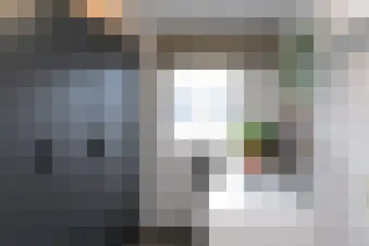 Wim Lagendaalpad 55 Rotterdam thumbnail 25