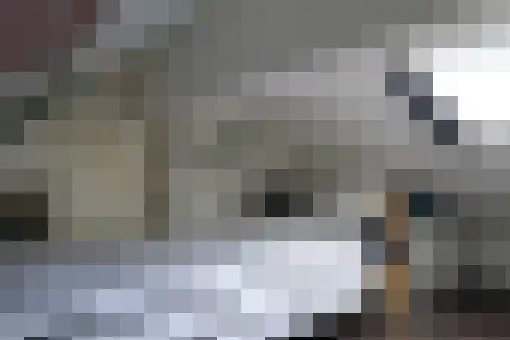 Wim Lagendaalpad 55 Rotterdam thumbnail 32