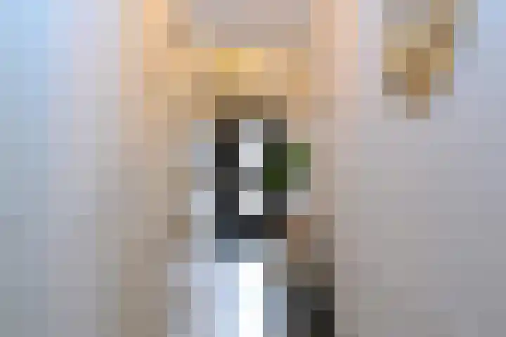 Wim Lagendaalpad 55 Rotterdam thumbnail 8