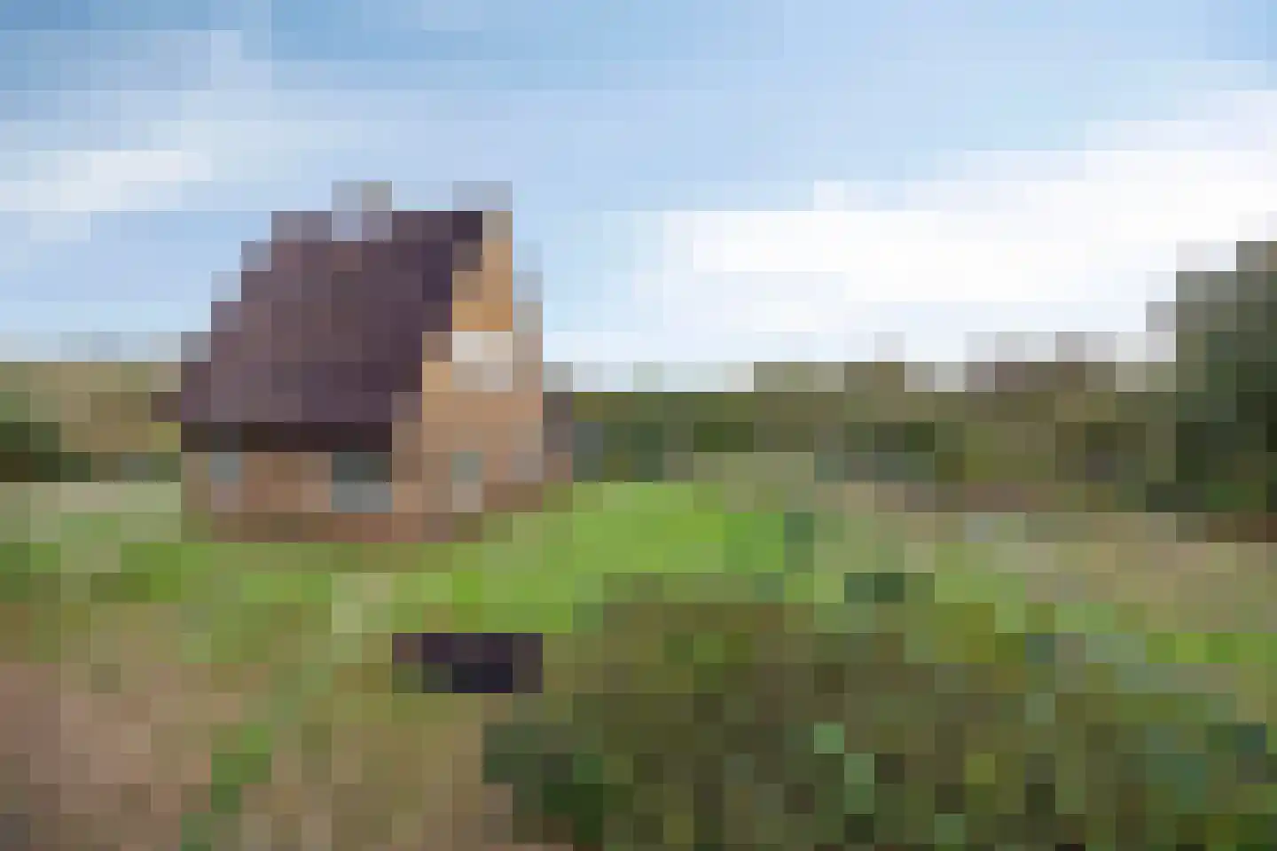 Wim Mensinkstraat 7 Heemskerk thumbnail 15