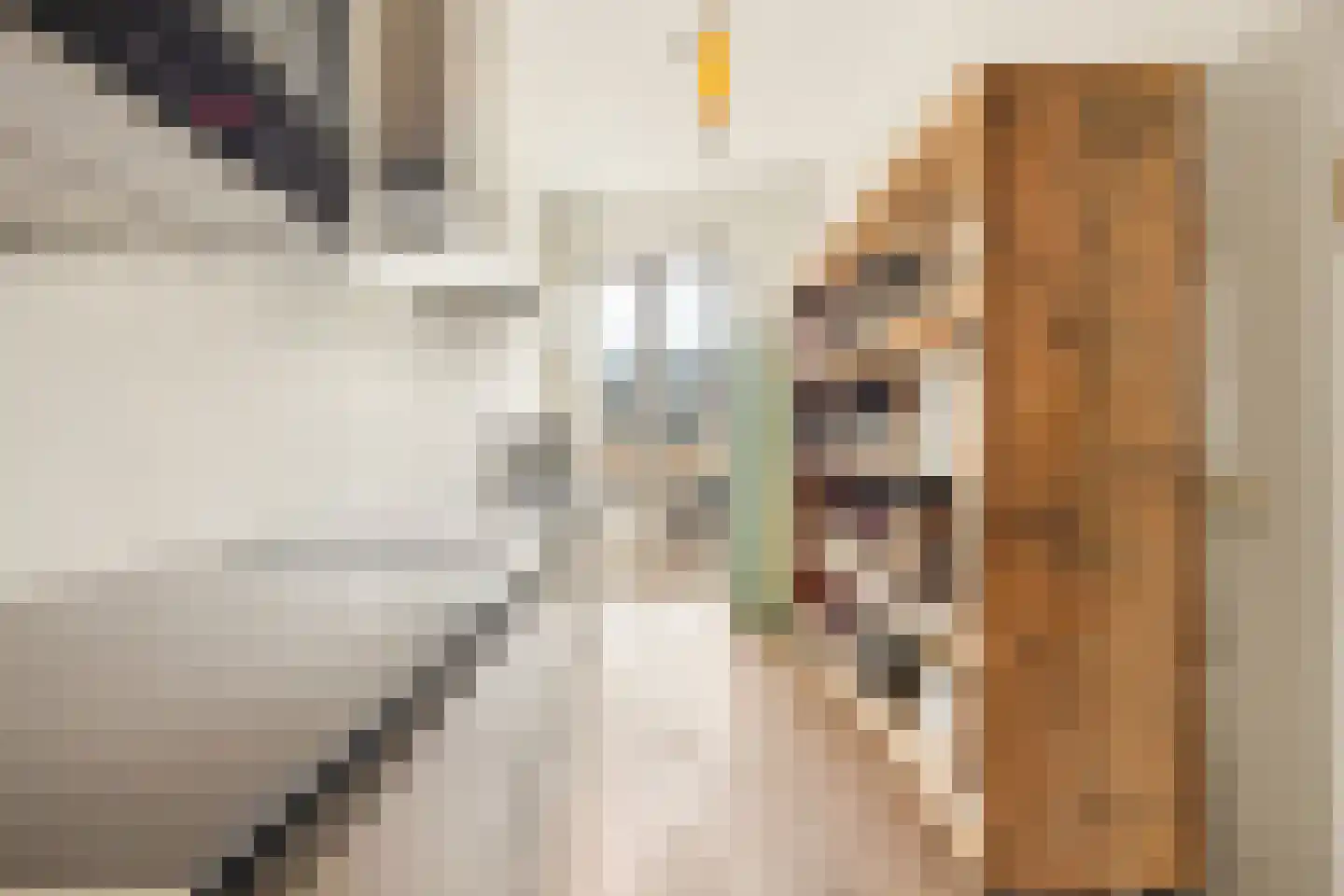 Wim Noordhoekkade 124 Amsterdam thumbnail 10