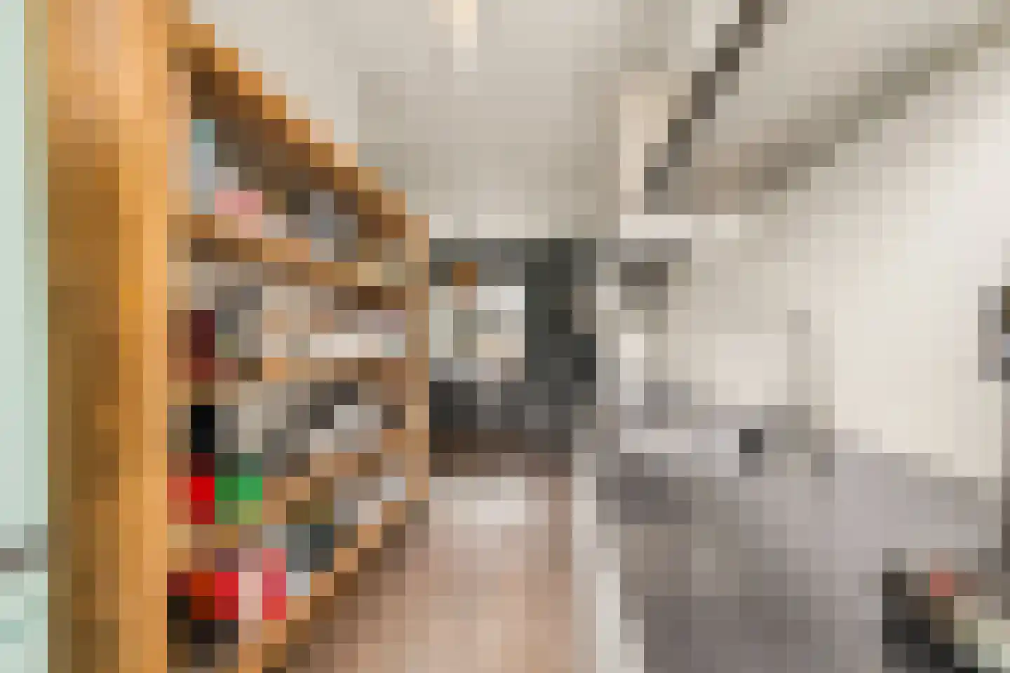 Wim Noordhoekkade 124 Amsterdam thumbnail 13