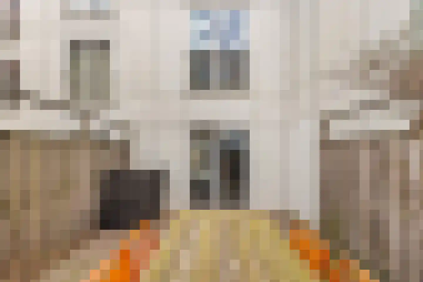 Wim Noordhoekkade 124 Amsterdam thumbnail 18