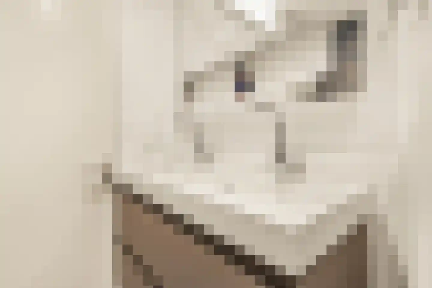 Wim Noordhoekkade 124 Amsterdam thumbnail 31
