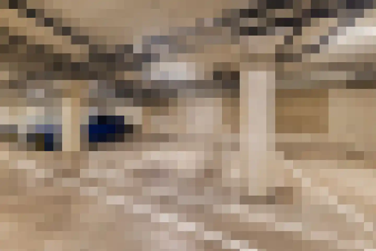 Wim Noordhoekkade 124 Amsterdam thumbnail 36