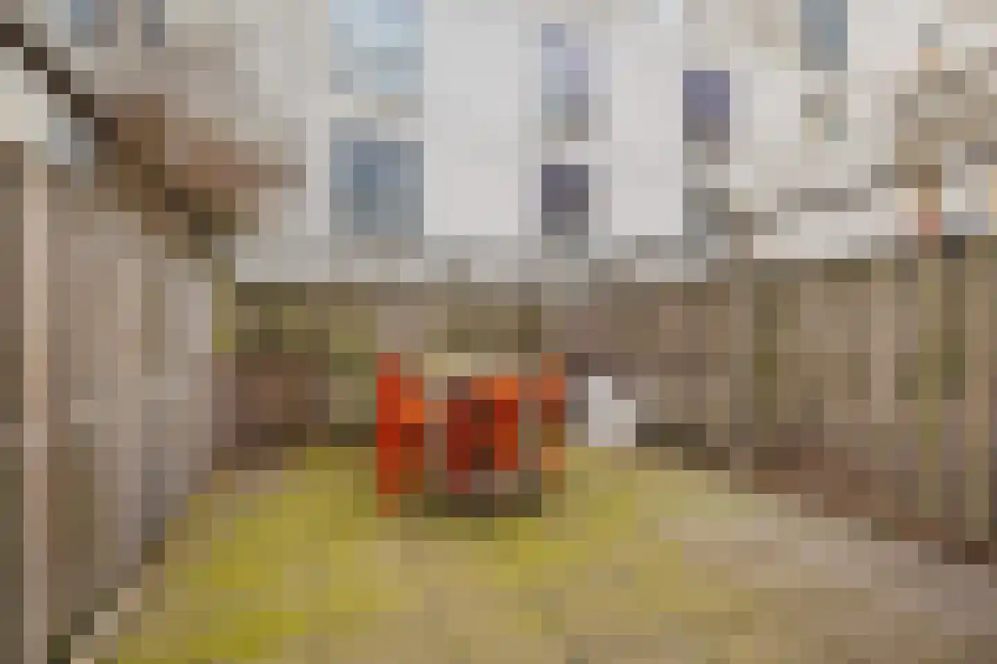 Wim Noordhoekkade 124 Amsterdam thumbnail 4