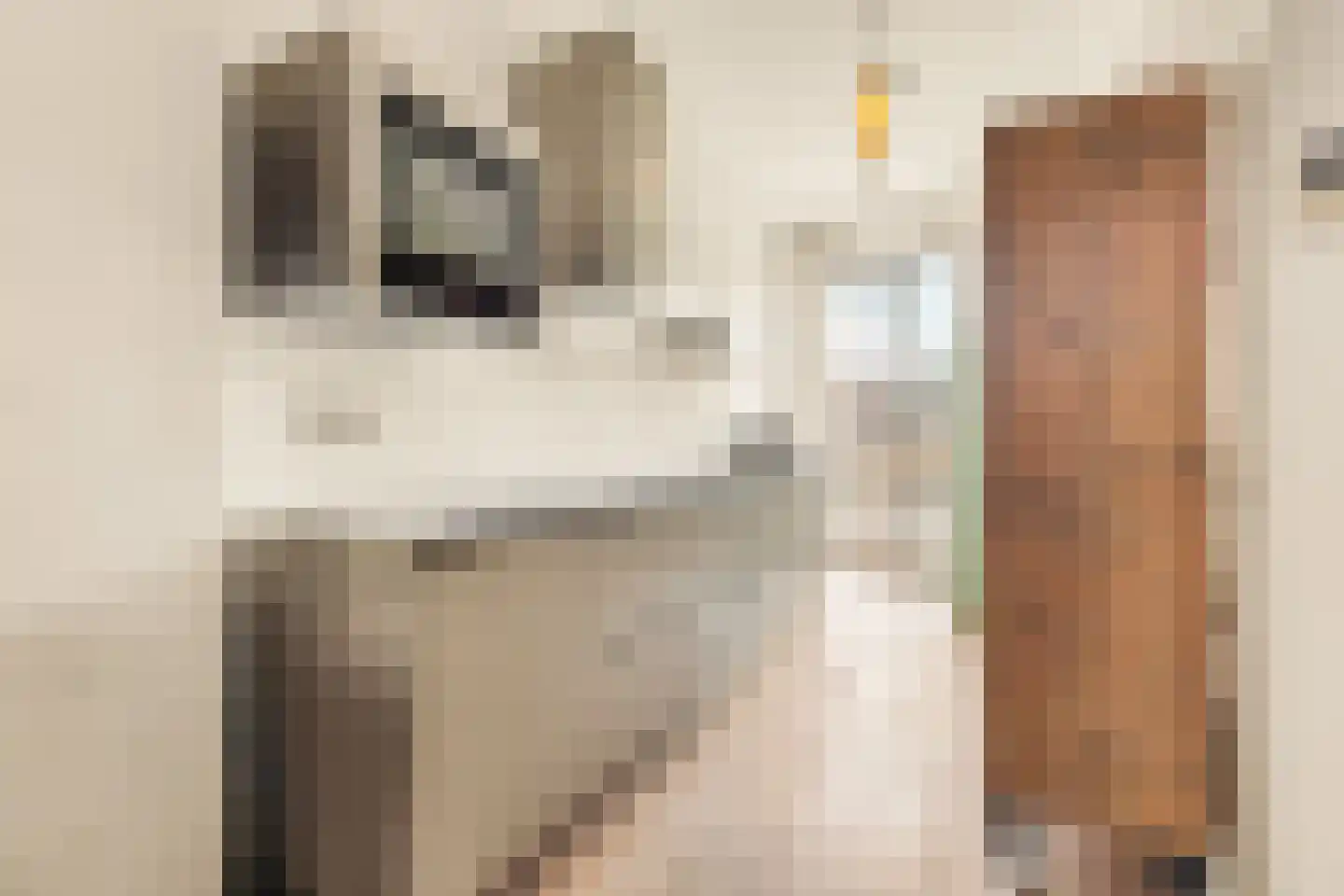 Wim Noordhoekkade 124 Amsterdam thumbnail 9