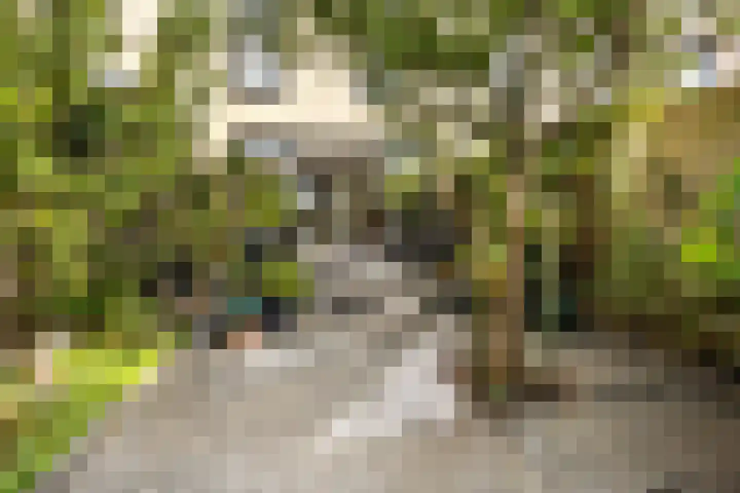 Wim Noordhoekkade 628 Amsterdam thumbnail 19