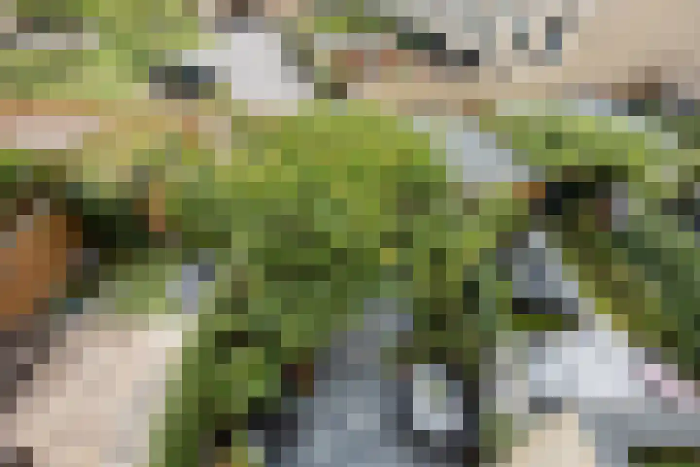 Wim Noordhoekkade 628 Amsterdam thumbnail 40
