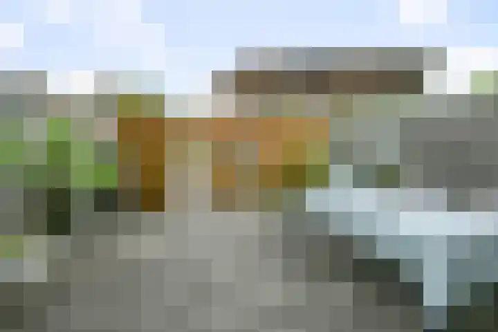 Wim Noordhoekkade 642 Amsterdam thumbnail 12