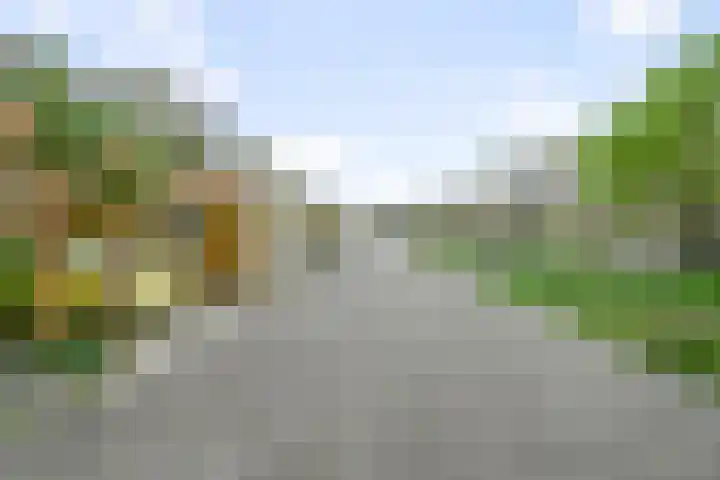 Wim Noordhoekkade 642 Amsterdam thumbnail 13