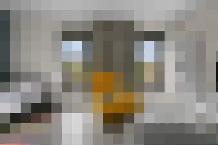 Wim Noordhoekkade 642 Amsterdam thumbnail 18