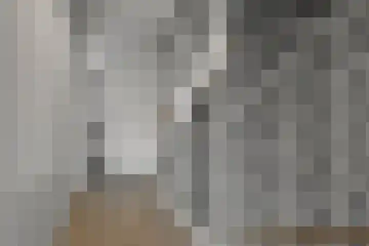 Wim Noordhoekkade 642 Amsterdam thumbnail 24