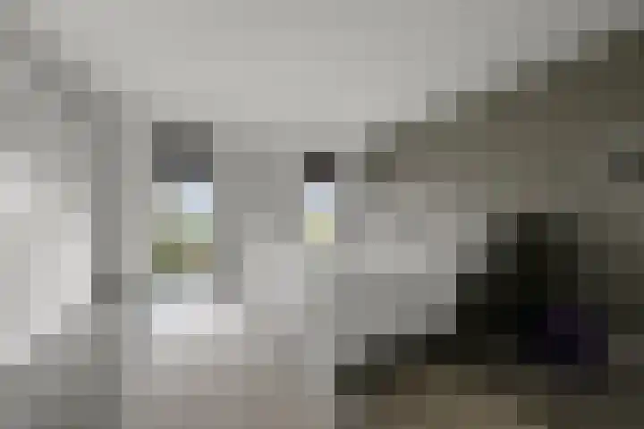 Wim Noordhoekkade 642 Amsterdam thumbnail 26