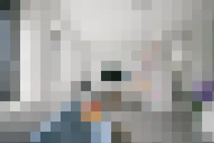 Wim Noordhoekkade 642 Amsterdam thumbnail 31