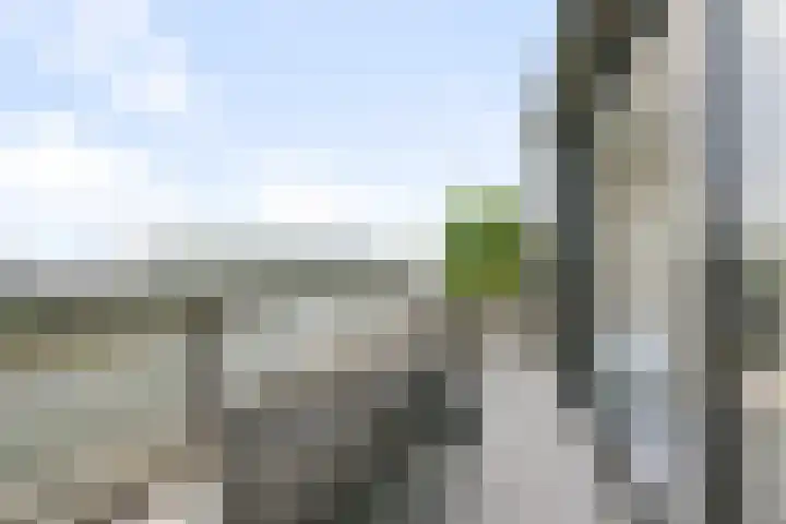 Wim Noordhoekkade 642 Amsterdam thumbnail 36