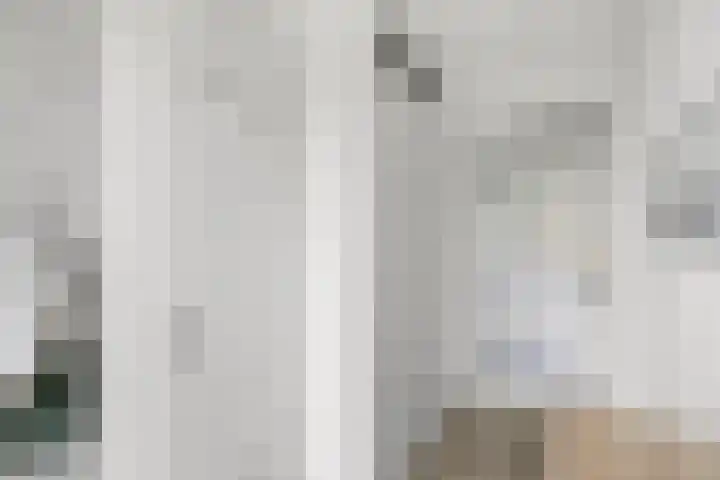 Wim Noordhoekkade 642 Amsterdam thumbnail 4