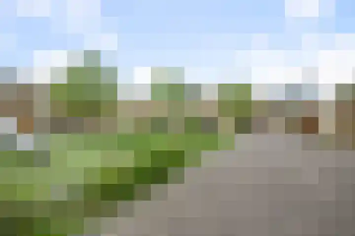Wim Noordhoekkade 642 Amsterdam thumbnail 40