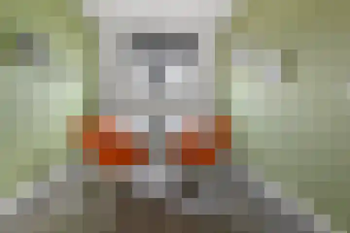 Wim Noordhoekkade 642 Amsterdam thumbnail 8