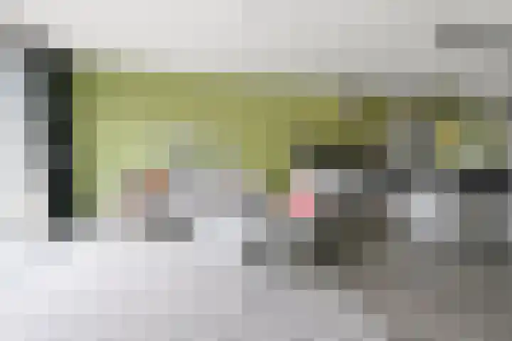 Wim Noordhoekkade 642 Amsterdam thumbnail 9