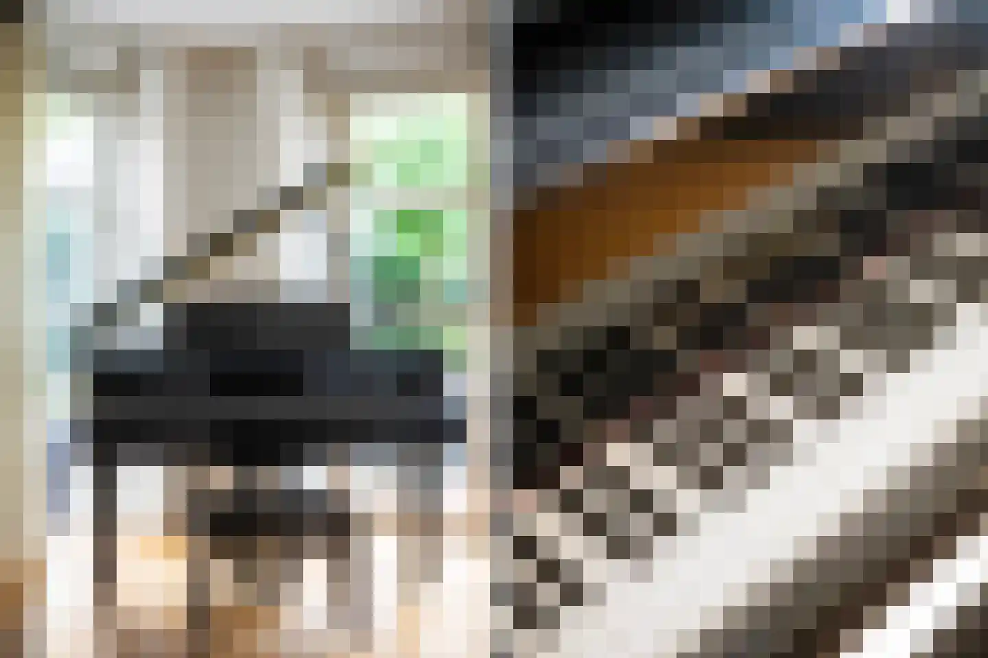 Wim Petersstraat 1 Zwolle thumbnail 16