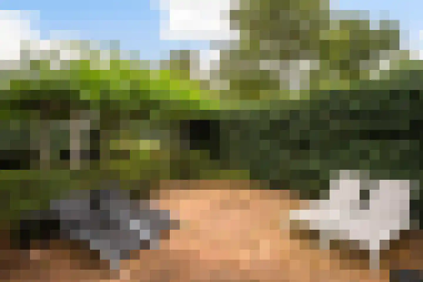 Wim Petersstraat 1 Zwolle thumbnail 27