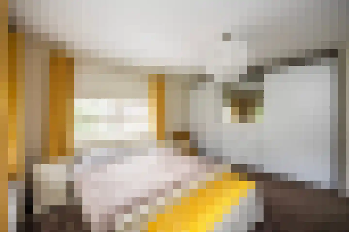 Wim Petersstraat 1 Zwolle thumbnail 37