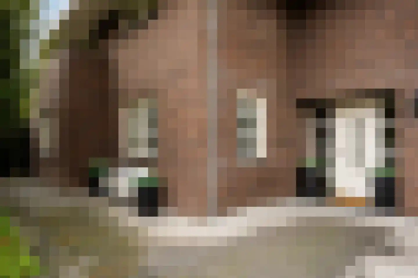 Wim Petersstraat 1 Zwolle thumbnail 4
