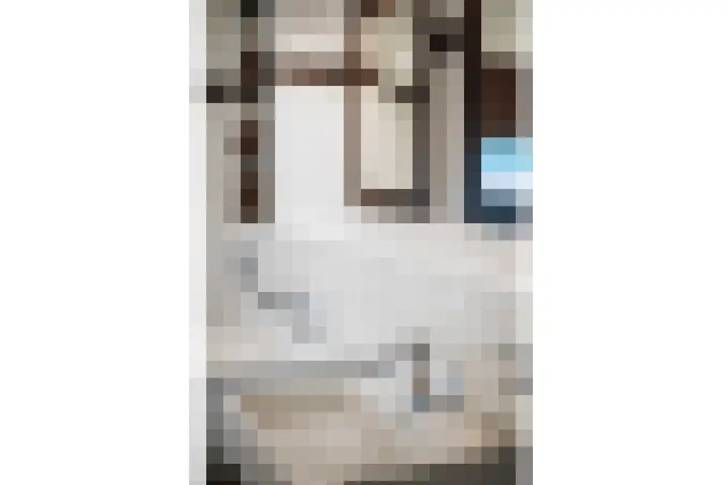 Wim Petersstraat 1 Zwolle thumbnail 54