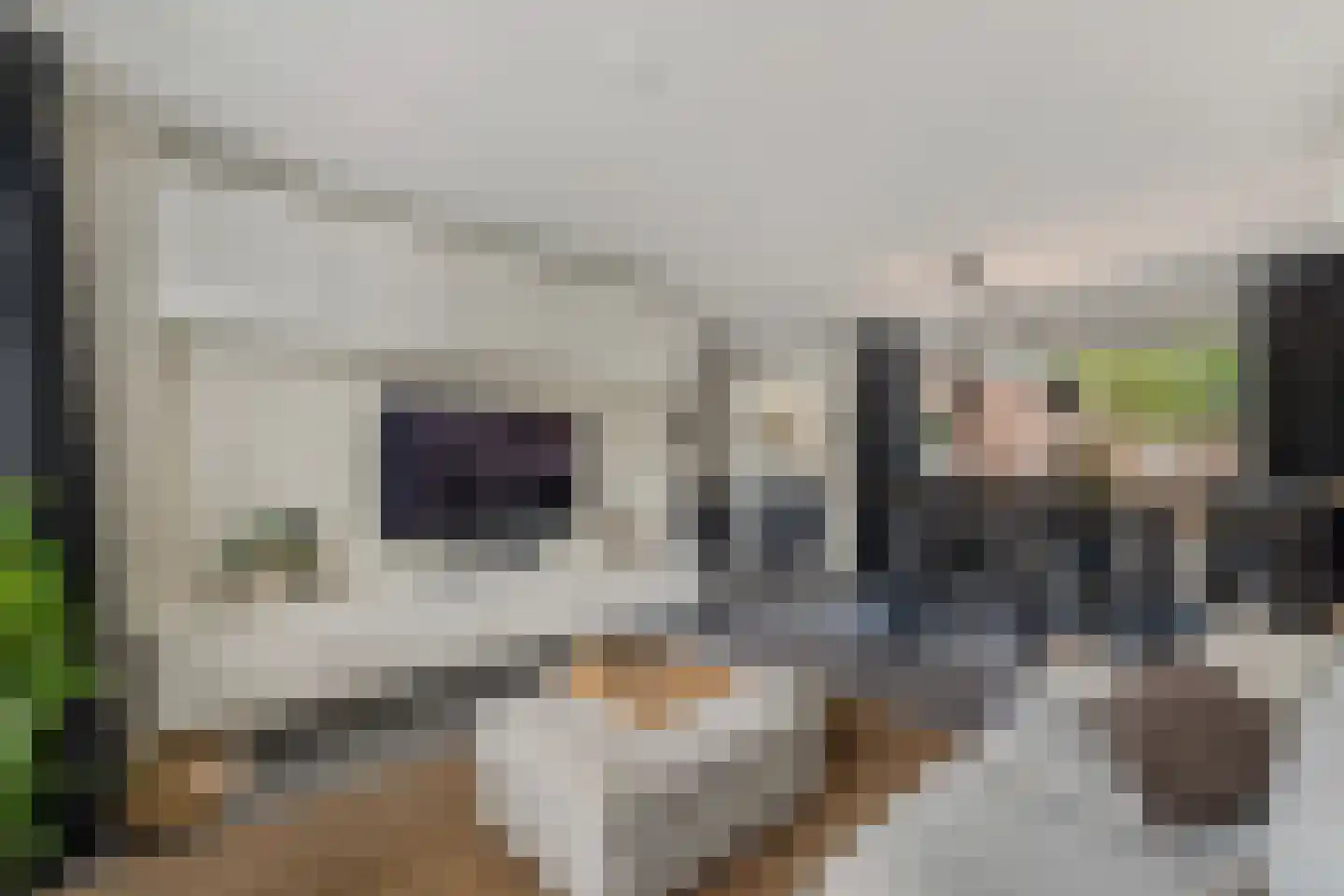 Wim Reinderslaan 15 Lemmer thumbnail 13
