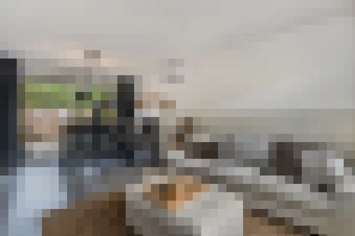 Wim Reinderslaan 15 Lemmer thumbnail 4