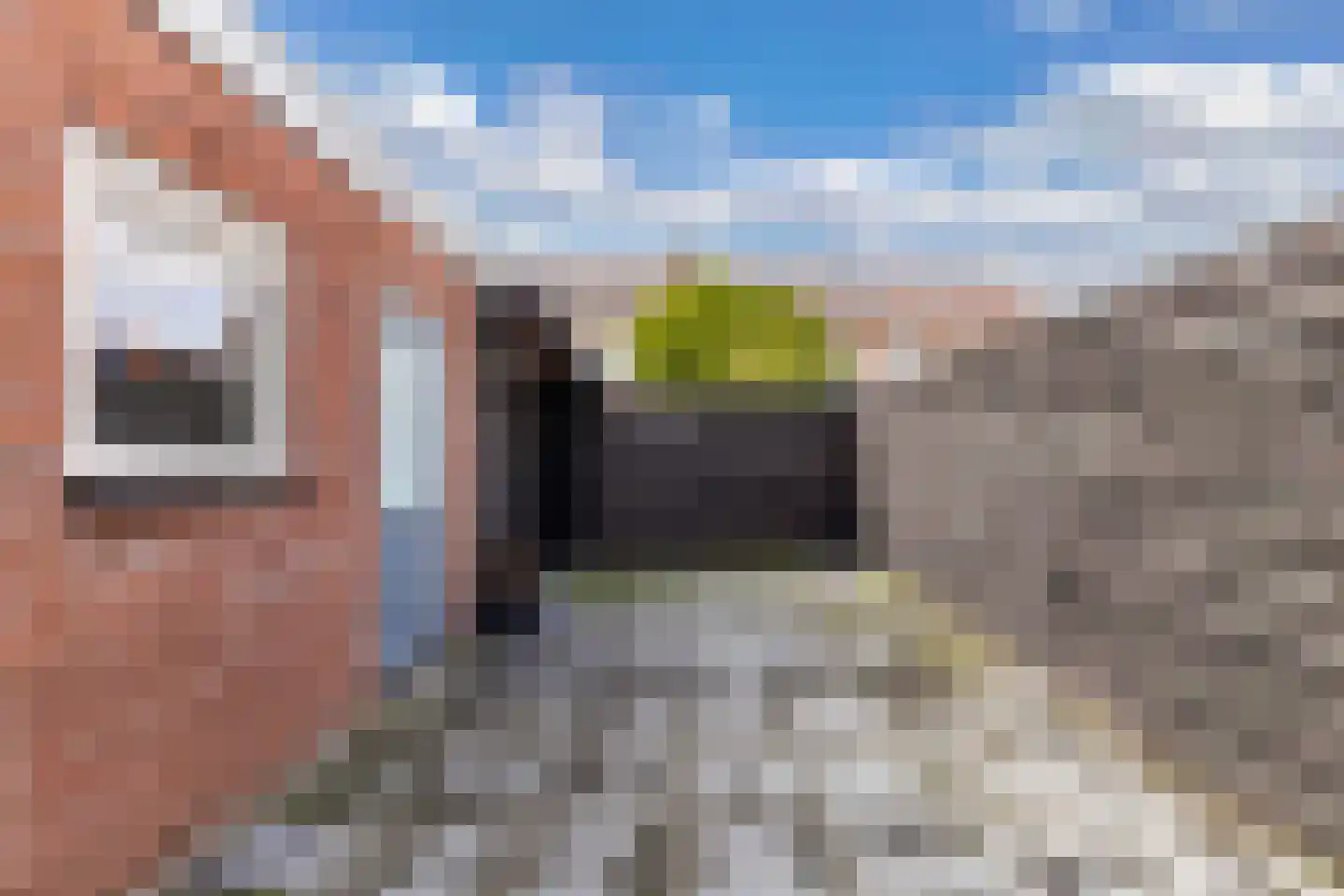 Wim Reinderslaan 16 Lemmer thumbnail 31