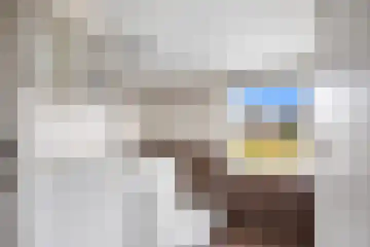 Wim Reinderslaan 4 Lemmer thumbnail 17
