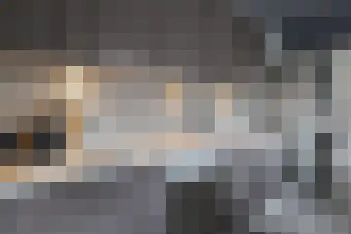 Wim Reinderslaan 9 Lemmer thumbnail 4
