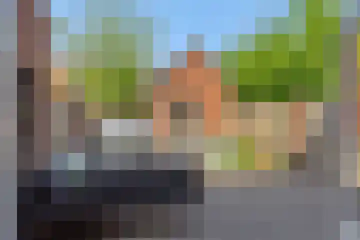 Wim Richtstraat 26 's-Hertogenbosch thumbnail 14