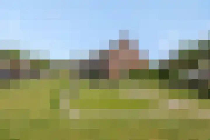 Wim Richtstraat 26 's-Hertogenbosch thumbnail 30