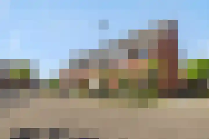Wim Richtstraat 26 's-Hertogenbosch thumbnail 33