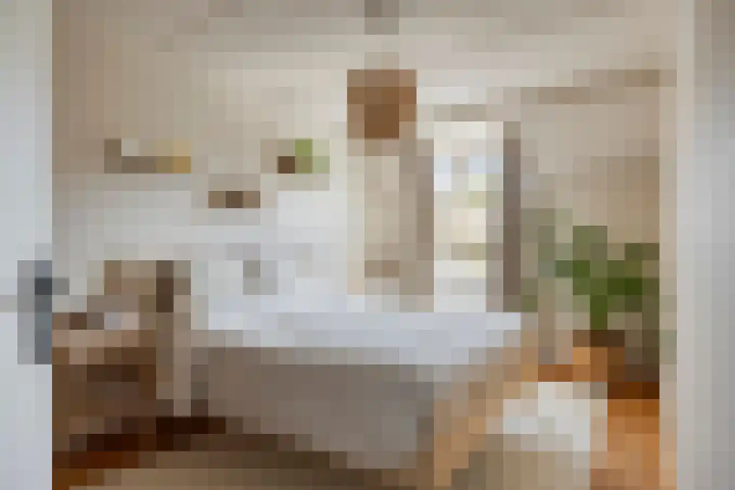 Wim Richtstraat 32 's-Hertogenbosch thumbnail 18