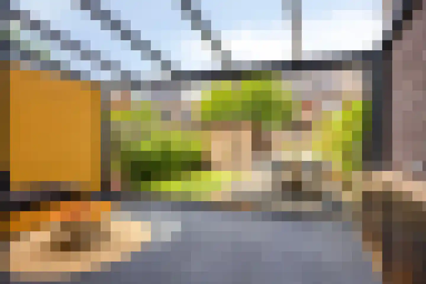 Wim Richtstraat 32 's-Hertogenbosch thumbnail 4