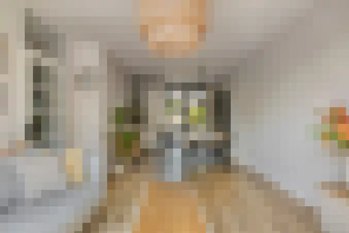 Wim Richtstraat 32 's-Hertogenbosch thumbnail 6