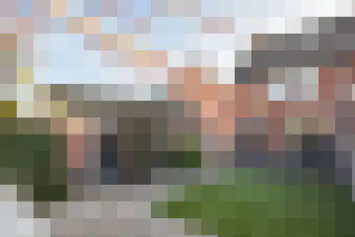 Wim Richtstraat 36 's-Hertogenbosch thumbnail 19