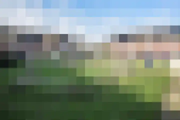 Wim Richtstraat 36 's-Hertogenbosch thumbnail 32